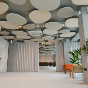 Sound Absorption