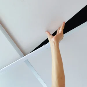 Ceiling Systems